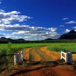 The mine is located in the Central Highlands of  Queensland. The volcanos in the back ground are where the sapphires originally formed  millions of years ago. They have subsequently been transported by large river systems and deposited in the surrounding areas where it they are  mined today.