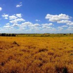 View from the Capricon Sapphire mine across the outback.